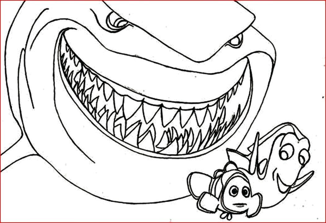 1051x721 Coloring Page Of A Shark Free Coloring Pages Sharks Coloring Pages