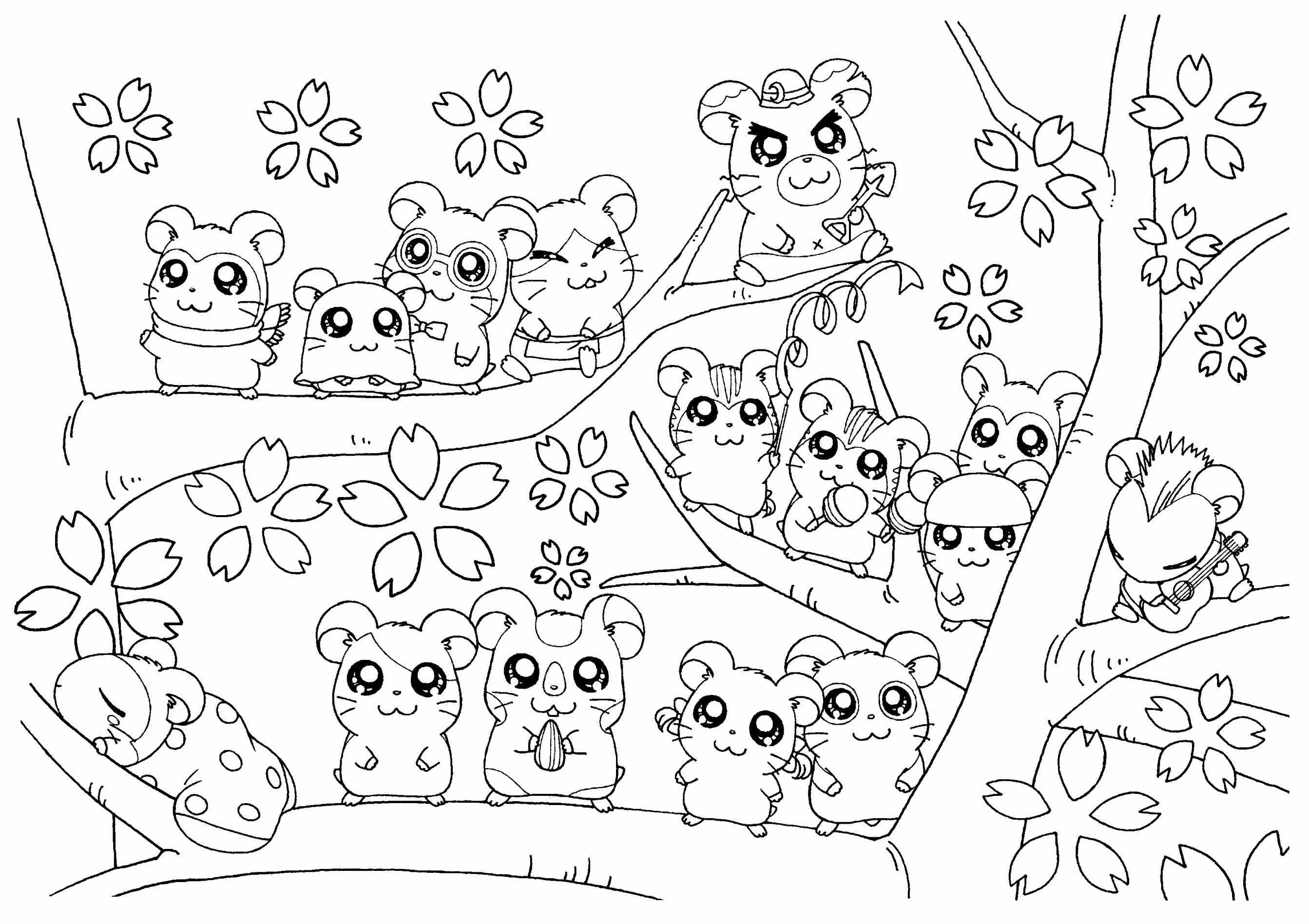 2686x1896 Bright And Modern Hamster Coloring Pages Wheel Cute Dwarf For Kids