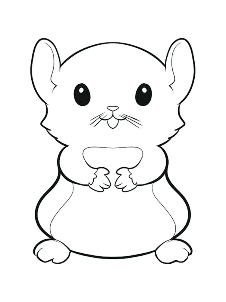 750x1000 Hamster Coloring Pages Free Hamster Coloring Page Hamster Coloring