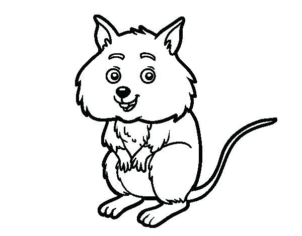 600x470 Hamster Coloring Sheet A Little Hamster Coloring Page Free