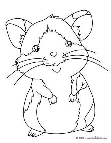 364x470 Hamster Coloring Page. Nice Petsdrawing For Kids. More Animals