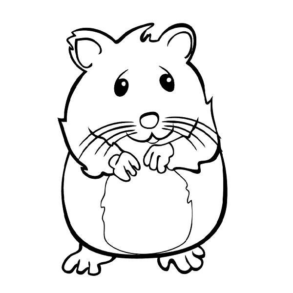 600x600 Hamster Pictures To Color Hamster 3 Animals Printable Coloring