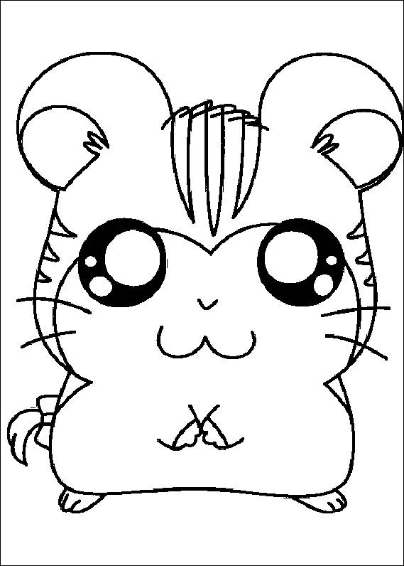 569x796 Cute Hamster Coloring Page Animal Pages