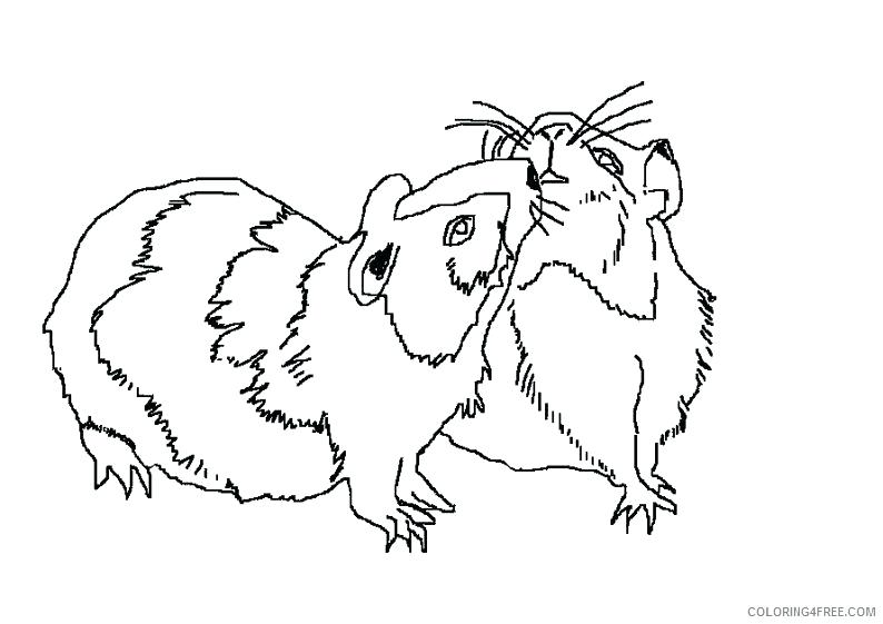 794x561 Hamtaro Coloring Pages Realistic Hamster Coloring Pages Couple