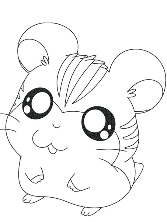 549x730 Cute Hamster Coloring Pages Pictures The Hamster Coloring Pages