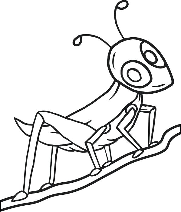 598x700 Grasshopper Coloring Page Free Download Best Grasshopper Free