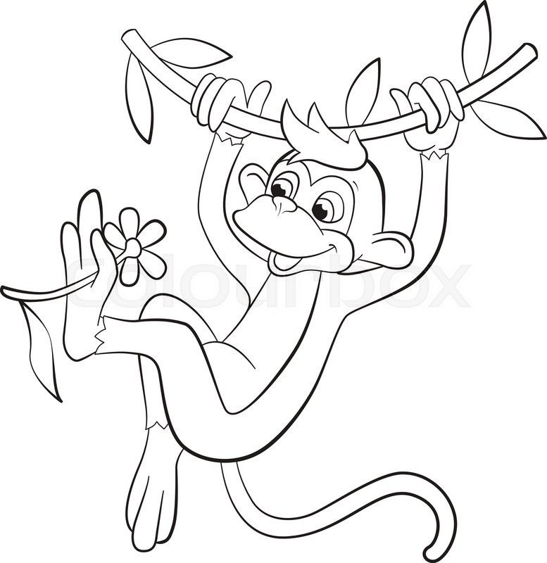 777x800 Coloring Page. Little Cute Monkey Is Hunging In The Liana