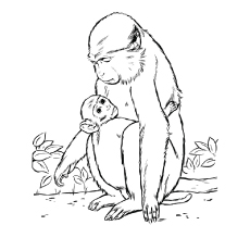 230x230 Classy Inspiration Monkey Coloring Page Hanging Monkey Coloring