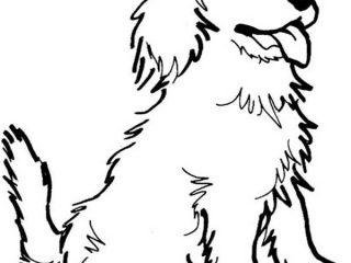 320x240 Coloring Pictures Dog Happy Dog Coloring Page Color Luna
