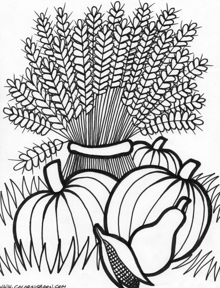 736x964 Cornucopia Coloring Page