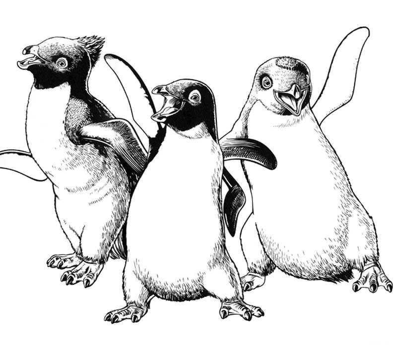 Happy Feet Coloring Pages 800x700 Happy Feet Coloring Pages