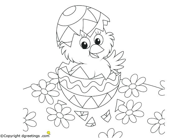 Chicks Coloring Pages Good Chicks Coloring Pages For Cute Chicks 582x445 Chicks Coloring Pages Good Chicks Coloring Pages For Cute Chicks