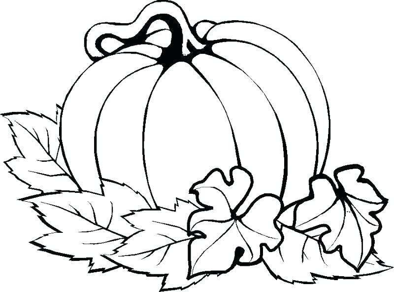 800x592 Halloween Pumpkin Coloring Pages Icontent