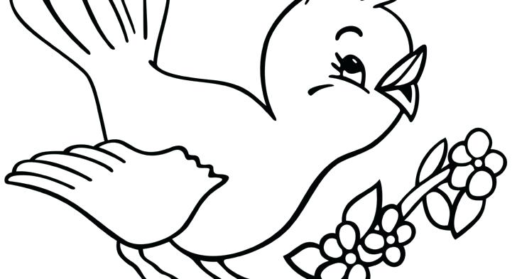 Coloring Pages Online Hard Flying Birds Falcon Bird Images About 728x393 Coloring Pages Online Hard Flying Birds Falcon Bird Images About