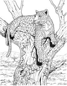 Realistic Printable Drawing Pages Of Hawk In Hard Bird Coloring 236x301 Realistic Printable Drawing Pages Of Hawk In Hard Bird Coloring