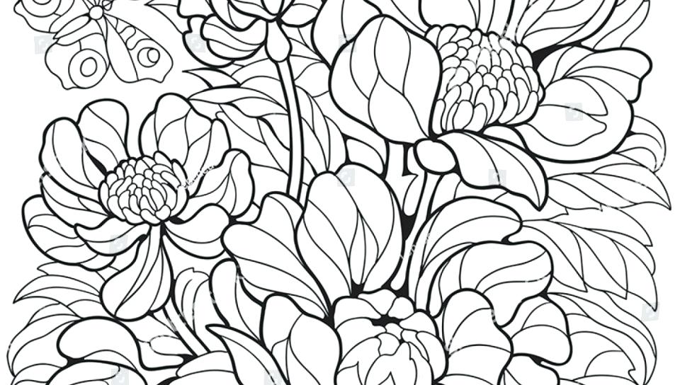 Free Printable Butterflies And Flowers Coloring Pages For Kids 960x544 Free Printable Butterflies And Flowers Coloring Pages For Kids