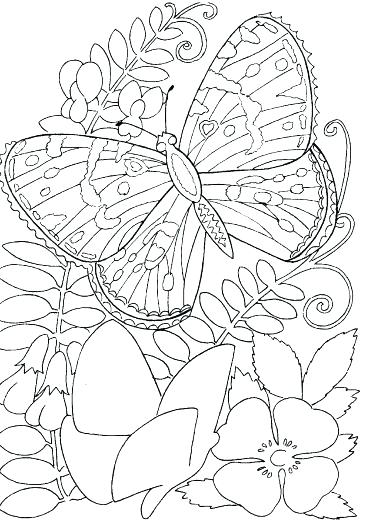 Hard Flower Coloring Pages Perfect Hard Flower Coloring Pages Hard 366x525 Hard Flower Coloring Pages Perfect Hard Flower Coloring Pages Hard