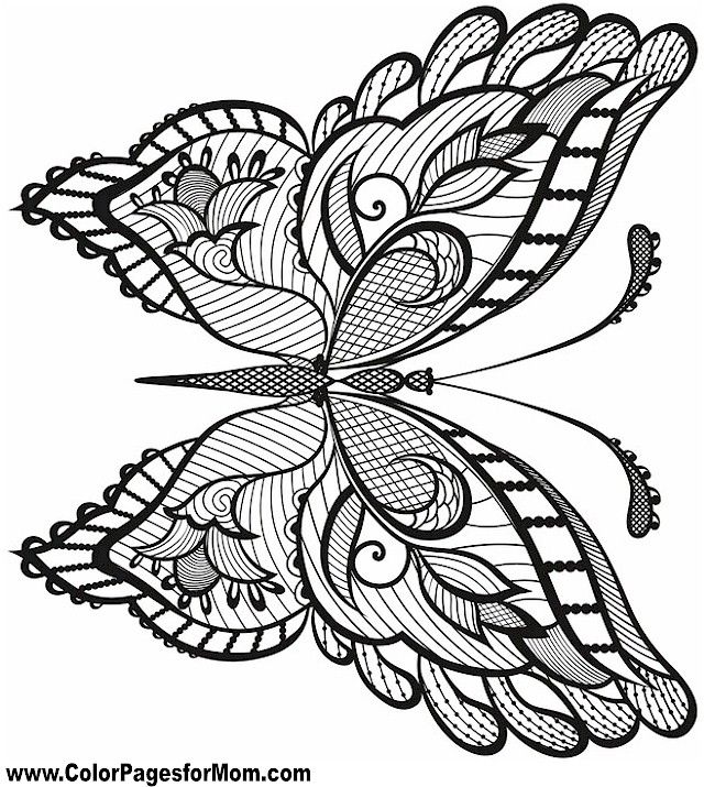 341 Best Coloring Book Butterfly Papillon Borboleta 640x715 341 Best Coloring Book Butterfly Papillon Borboleta