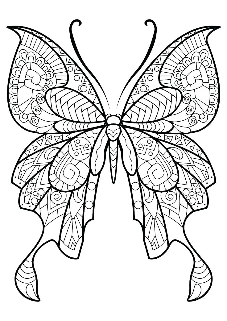 Beautiful Butterfly Coloring Pages Butterfly Coloring Pages Cute 736x1040 Beautiful Butterfly Coloring Pages Butterfly Coloring Pages Cute