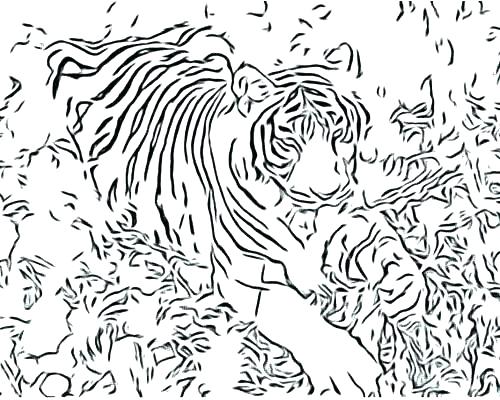Hard Cat Coloring Pages at GetColorings.com | Free printable colorings ...