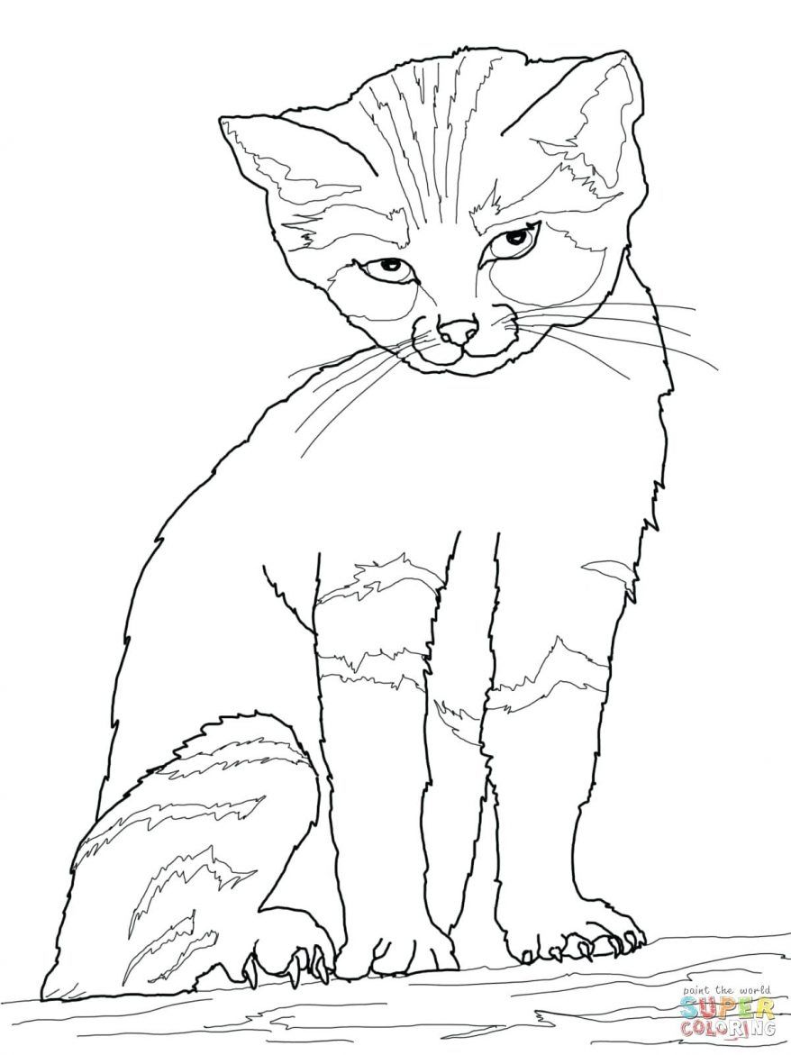 878x1171 Nyan Cat Coloring Pages