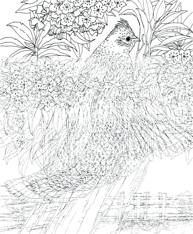 618x750 Hard Christmas Coloring Pages Challenging Coloring Pages Plus