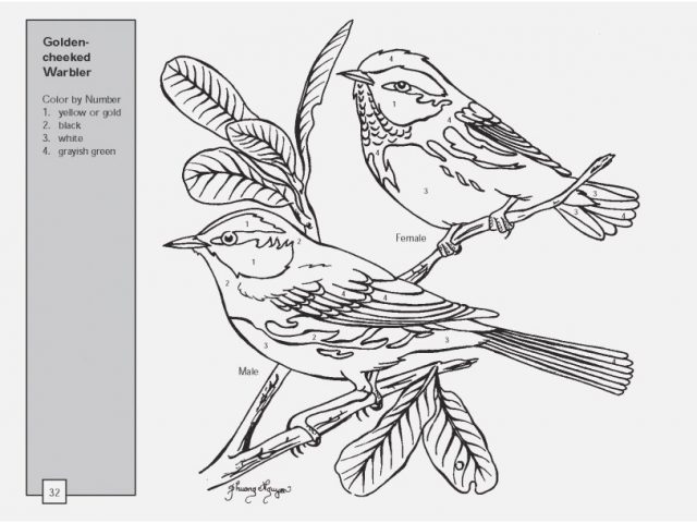 640x480 Images Of Color By Number Coloring Pages Stock Excellent Hard