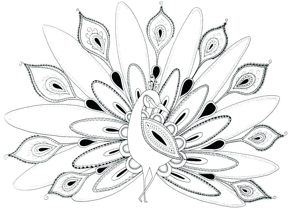 Hard Coloring Pages Printable Peacock Coloring Pages To Print New 1024x725 Hard Coloring Pages Printable Peacock Coloring Pages To Print New