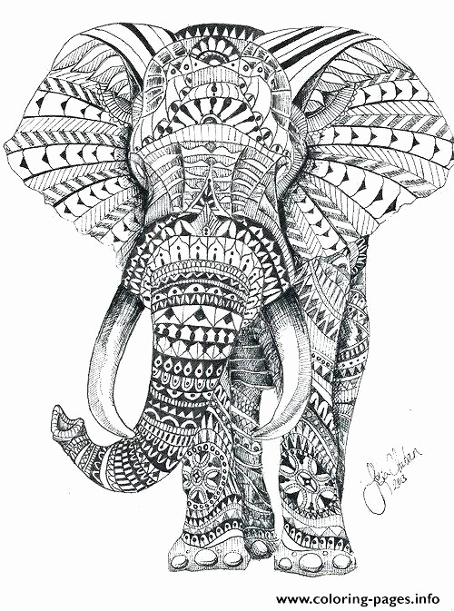 Exotic Animals Adult Coloring Pages Free Adult Coloring Pages 500x673 Exotic Animals Adult Coloring Pages Free Adult Coloring Pages