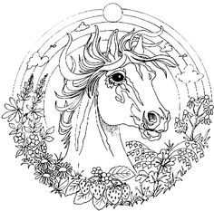 Hard Animal Coloring Page Free Download 236x233 Hard Animal Coloring Page Free Download