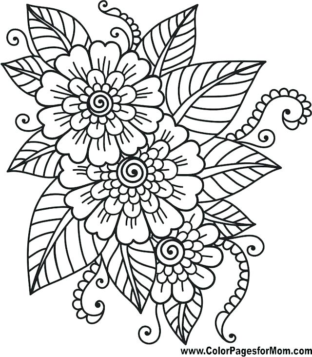 Hard Coloring Page Hard Flower Coloring Pages Flower Coloring Page 640x732 Hard Coloring Page Hard Flower Coloring Pages Flower Coloring Page