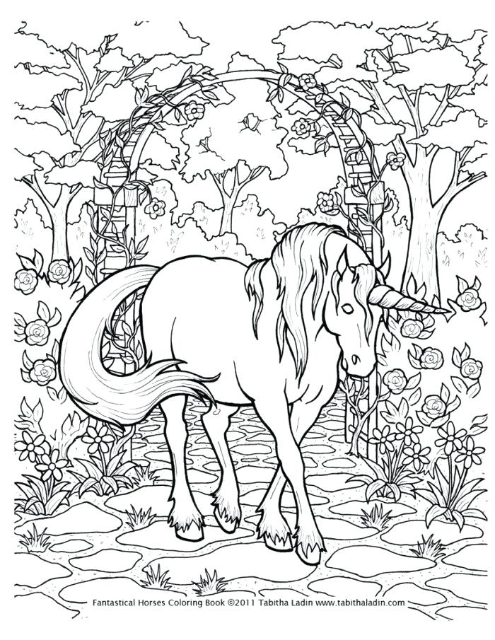 Horse Coloring Pages Hard 700x905 Horse Coloring Pages Hard