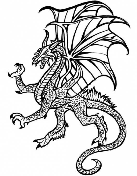 Hard Dragon Coloring Pages 567x730 Hard Dragon Coloring Pages