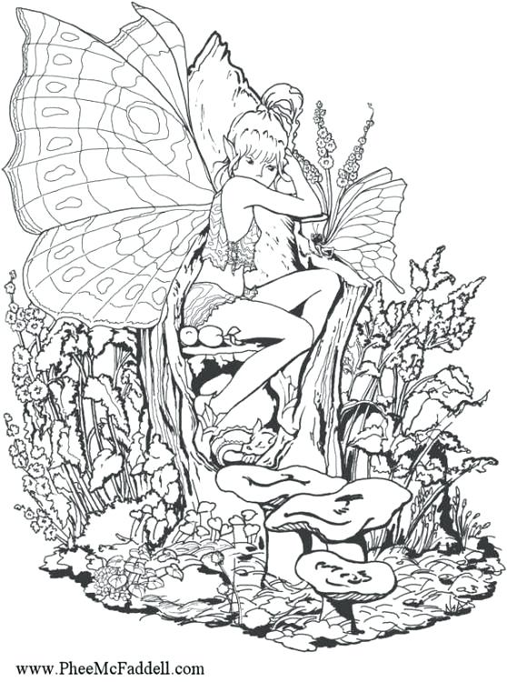 558x750 Detailed Fairy Coloring Pages Ideas About Fairy Coloring Pages