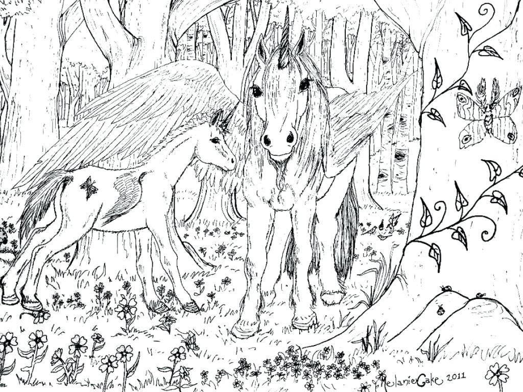 Hard Color Pages Coloring Pdf Connect The Dots For Adults Online 1024x768 Hard Color Pages Coloring Pdf Connect The Dots For Adults Online