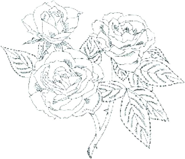 Hard Coloring Page Hard Coloring Pages Free Horse Coloring Pages 650x558 Hard Coloring Page Hard Coloring Pages Free Horse Coloring Pages