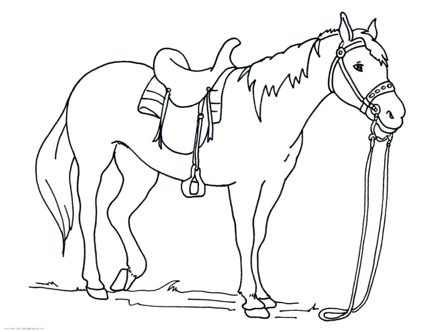 Wolf Coloring Pages Hard Outstanding Pictures Of Horses To Print 878x659 Wolf Coloring Pages Hard Outstanding Pictures Of Horses To Print