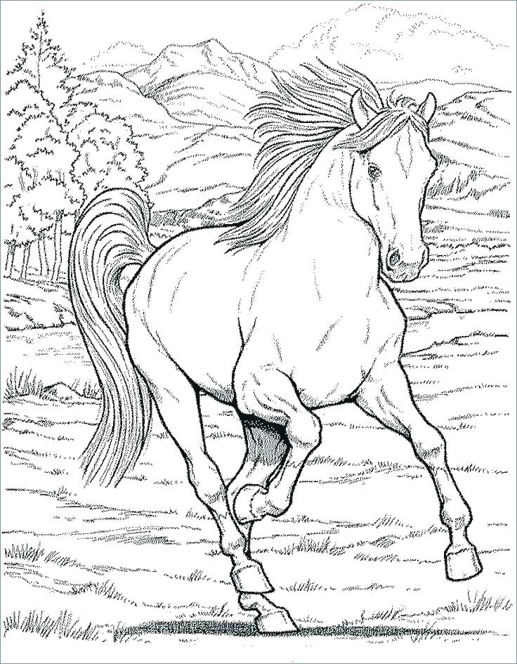 Coloring Pages For Kids Animals Horse Advanced Hard Animal 736x945 Coloring Pages For Kids Animals Horse Advanced Hard Animal