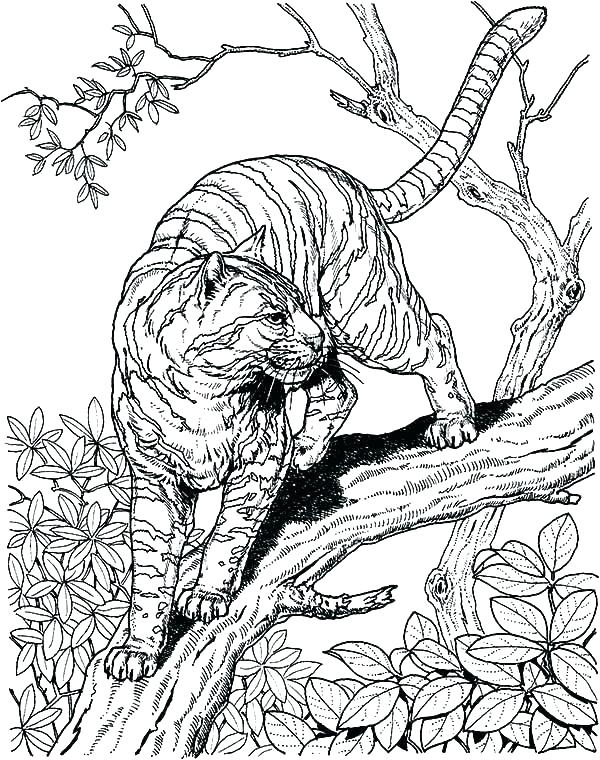 600x760 Hard Coloring Pages Printable Hard Coloring Page Hard Coloring