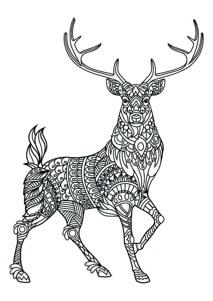 736x1040 Cute Animal Coloring Sheets Forest Animal Coloring Pages Hard
