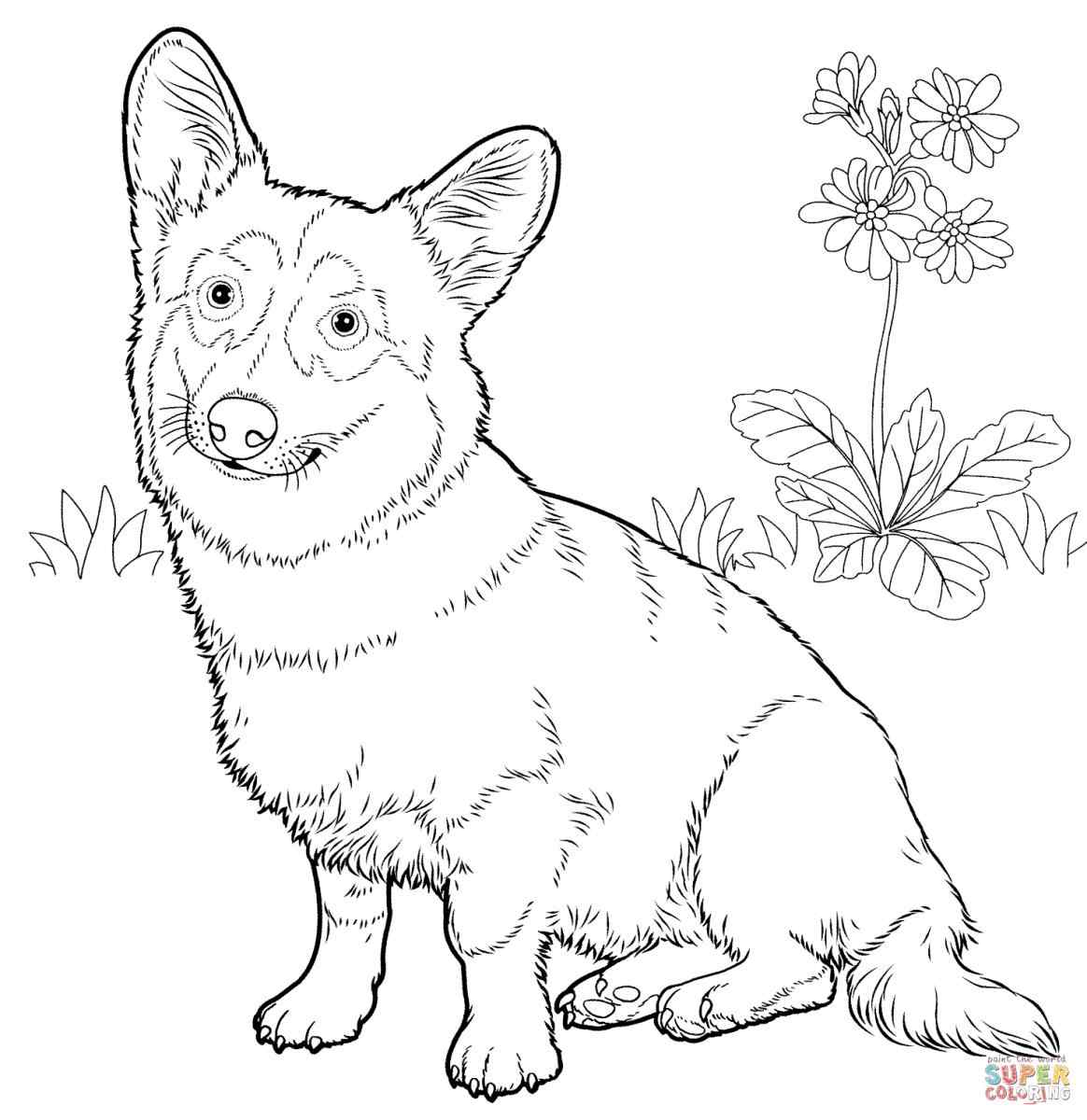 1164x1200 Hard Dog Coloring Pages Online Coloring Printable