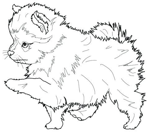 480x435 Puppies Coloring Pages Pet Coloring Pages Printable Puppy Coloring