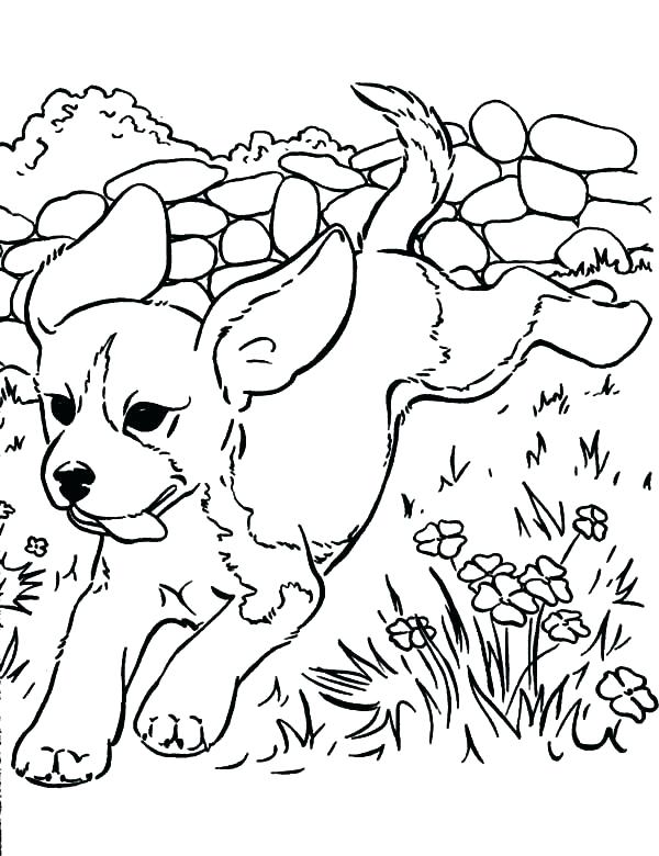 600x780 Puppy Coloring Coloring Page Hard Dog Puppy Coloring Coloring
