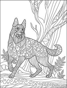236x310 Animal Coloring Pages Pdf Adult Coloring, Coloring Books And Dog Cat