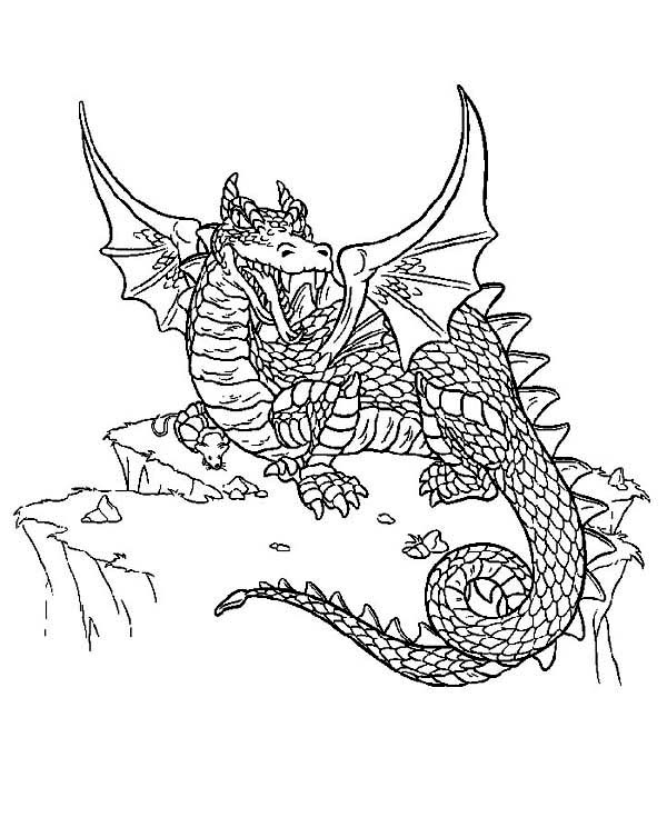 600x753 Difficult Dragon Colouring Pages For Adults