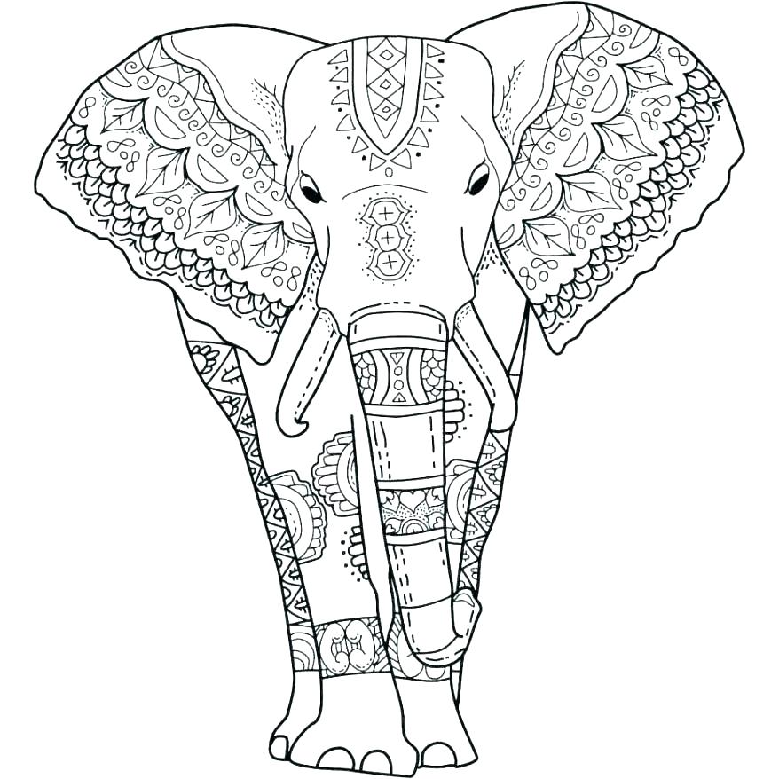 878x878 Elephant Color Pages Elegant Elephant Coloring Pages Print Color