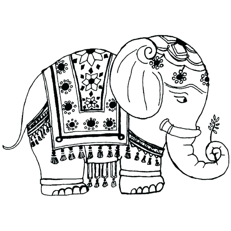 800x800 Elephant Coloring Sheets Hard Elephant Coloring Pages For Adults