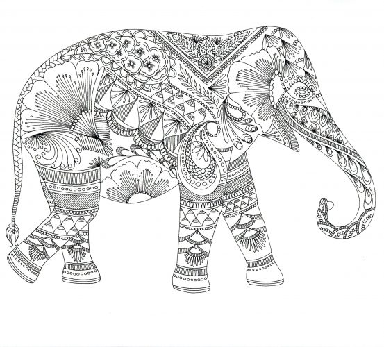 553x500 Coloring Page ~ Elephant Color Page Coloring Pages Printable