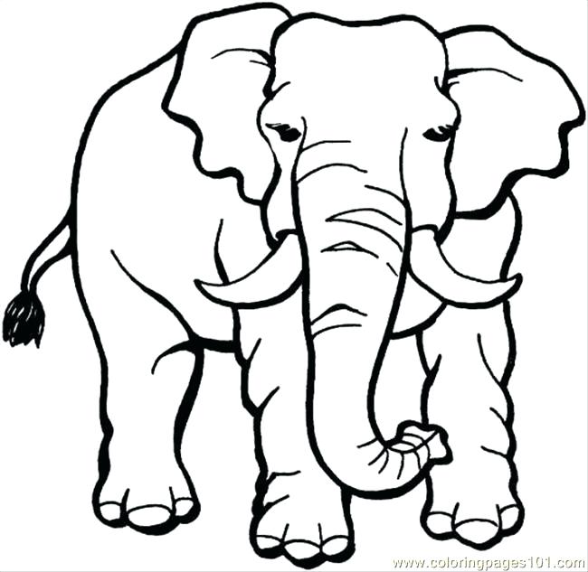 650x633 Coloring Pages Elephant Elephant Coloring Page Coloring Page Hard
