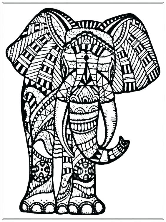 564x752 Coloring Pages Elephant Elephants Coloring Page I Hard Coloring